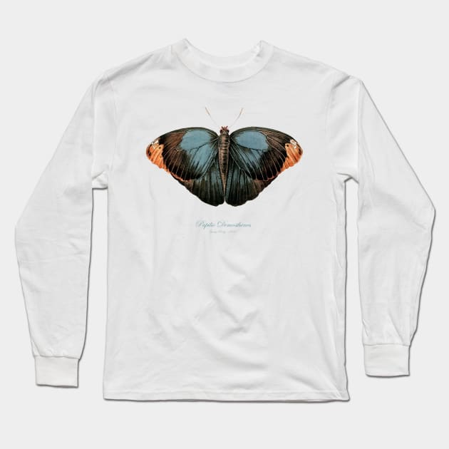 Butterfly - Purple Owl, Papilio Demosthenes, Caligo Beltrao Illiger Long Sleeve T-Shirt by SPJE Illustration Photography